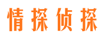 天台市侦探调查公司